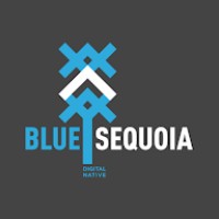 BLUE SEQUOIA logo - Similar company to Olwe Groupe | Agence Web