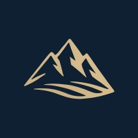 Leadership Investments LLC logo - Similar company to Advanced Plasma Solutions Co. Inc