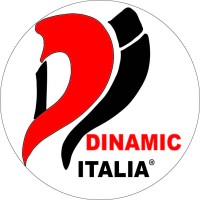 DINAMIC ITALIA logo - Similar company to Ajsia Disposable Solution