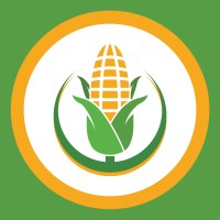 Gualca Seed - Agroindustria Sostenible logo - Similar company to Semillas Piuranas