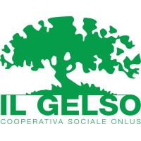Il Gelso Cooperativa Sociale logo - Similar company to Eracles Srl