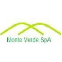Sulfato Monteverde logo - Similar company to Zinter Bv