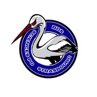 Bureau Des Sports de Sciences Po Strasbourg logo - Similar company to Stras'Diplomacy
