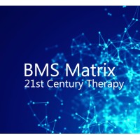 BMS Matrix logo - Similar company to Cabinaid