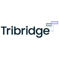 Tribridge.co.uk logo - Similar company to Dohertybaines