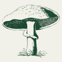 Cotswold Mushrooms Ltd logo - Similar company to Dank Mushrooms