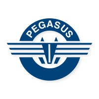 Pegasus Shipping and Maritime Pakistan logo - Similar company to Smart-Trans Solutions