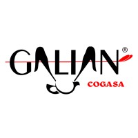 Galian Cogasa SL logo - Similar company to Copele
