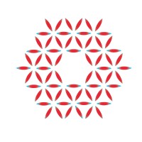 Seerave Foundation logo - Similar company to Microbiota Vault