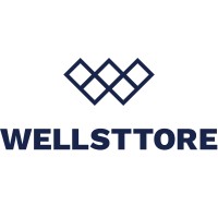 Wellsttore services private limited logo - Similar company to Reliable Records