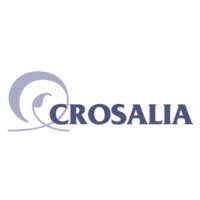 Grupo Crosalia logo - Similar company to Gorgona Studio