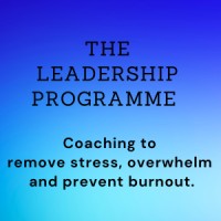 The Leadership Programme logo - Similar company to Jvs Philadelphia Fund For Women