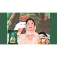 First Lady CM Punjab logo - Similar company to Exidevs