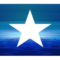 Star Performance logo - Similar company to Effective Online Group S.R.O.