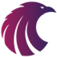 The Social Eagle logo - Similar company to Pi Digital Solutions