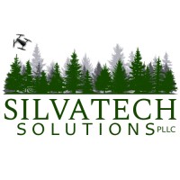 SilvaTech Solutions PLLC logo - Similar company to Digital Silva