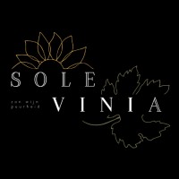 Solevinia logo - Similar company to Falcomotive