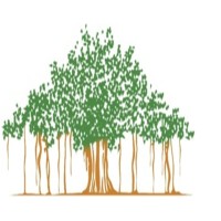 The Banyan HR Consults Chennai logo - Similar company to Deejay Coconut Farm Pvt. Ltd.