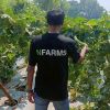 Nfarms AI Fields logo - Similar company to Devafric.Gh.Us