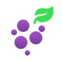 iGrape logo - Similar company to Grupo Pgl