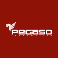 Pegaso Informatica Srl logo - Similar company to Grid It Srl