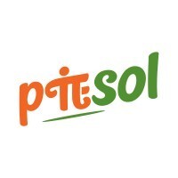 Piesol Private Limited logo - Similar company to Expert Solutions