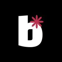 Bruin logo - Similar company to Digisaurus.Id