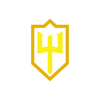 Trident Security logo - Similar company to Vision Insites