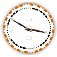 Kape Images logo - Similar company to Forever Wild Initiative