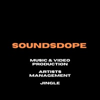 SOUNDSDOPE MUSIC PRODUCTION logo - Similar company to Online Distribution Manager