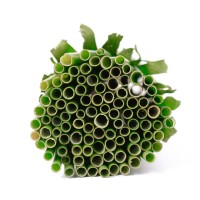 Green Grass Drinking Straws logo - Similar company to Wuxi Sleeu Tech Co,.Ltd