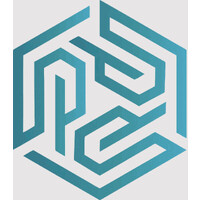 PicoSoftSolutions logo - Similar company to Nomad Devs