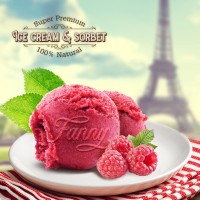 Fanny (Supper premium French ice-cream & sorbet) logo - Similar company to Charlie'S Sorbet Co.