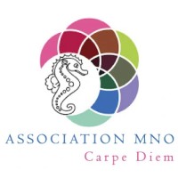 ASSOCIATION MAECHA NA OUNONO logo - Similar company to Akali Formation974