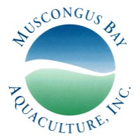 Muscongus Bay Aquaculture logo - Similar company to Northern Chumash Tribal Council