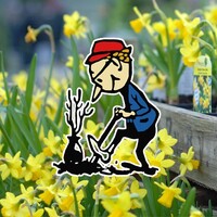 Baytree Garden Centre logo - Similar company to Lmklaw