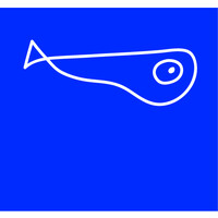 Fish Film logo - Similar company to Bluescreen