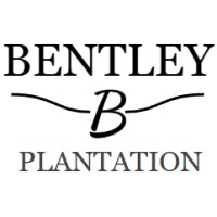Bentley Plantation Of Nc