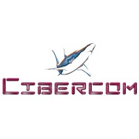 Cibernética en el siglo XXI SA de CV logo - Similar company to Toro Digital
