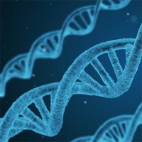 Biofin Capital logo - Similar company to Aivah Advanced Web Solutions