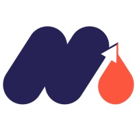 Maximum Lawyer logo - Similar company to Manada Technology