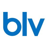 Bubblevel Consulting logo - email format related to Advanced Way