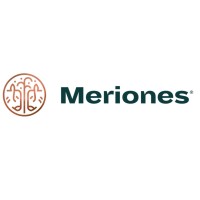 Meriones DMCC logo - Similar company to Standard Keys Consultancy