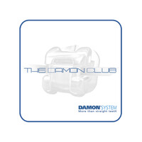 The Damon Club