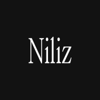 Niliz logo - Similar company to Tangará Design