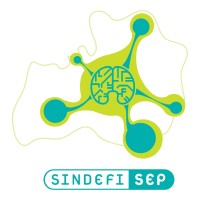 SINDEFI-SEP logo - Similar company to Apic-Cefic
