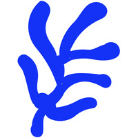 koralli - consulting, an interdisciplinary approach logo - Similar company to Cortex Tutors