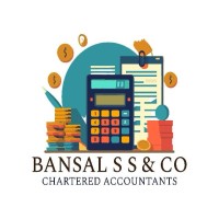 BANSAL S S & CO logo - Similar company to Bsa & Company