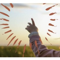 Trauma Academie - PAO Psychologie logo - Similar company to Axon Leertrajecten