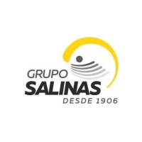 Grupo Salinas Familia Socios logo - Similar company to Iris Startup Lab
